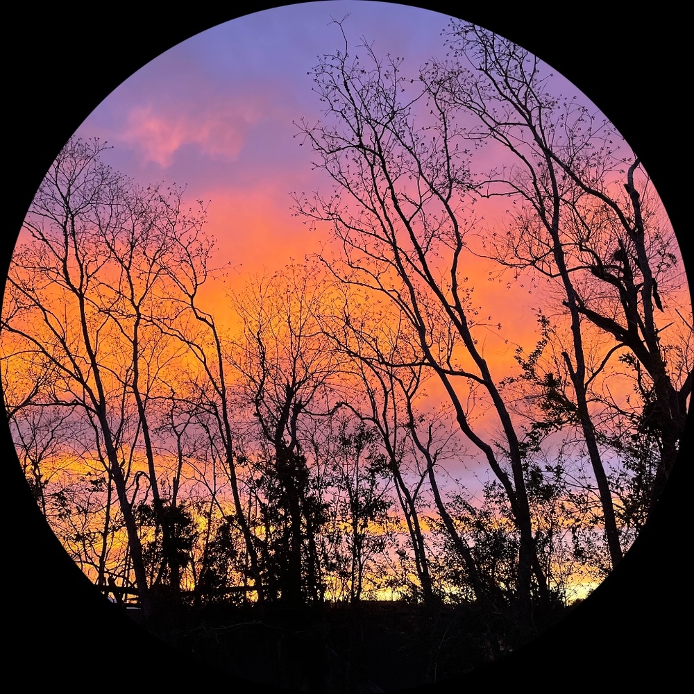 Meet your Posher, Jaxon